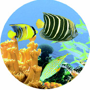 HydroLighting1 HydrotherapyImage1